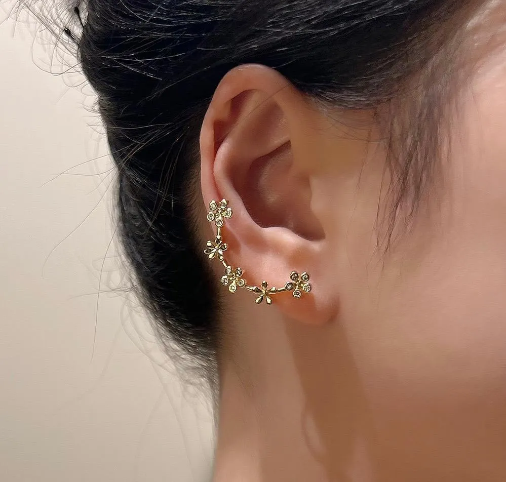 WhatsApp Image 2025-12-11 at 2.32.52 PM.webp