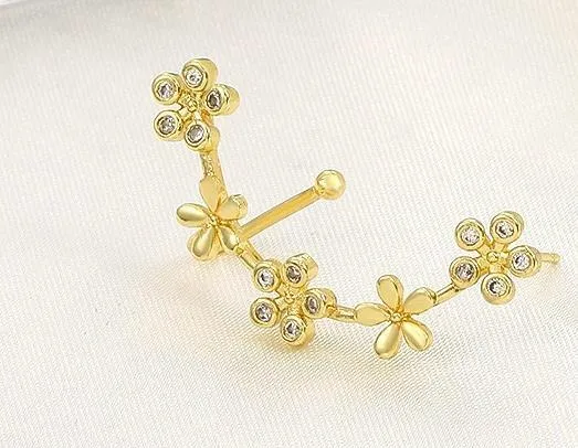 WhatsApp Image 2025-12-11 at 2.32.52 PM (1).webp