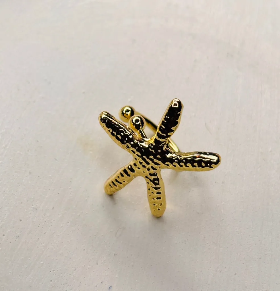 WhatsApp Image 2025-12-11 at 2.59.19 PM.webp