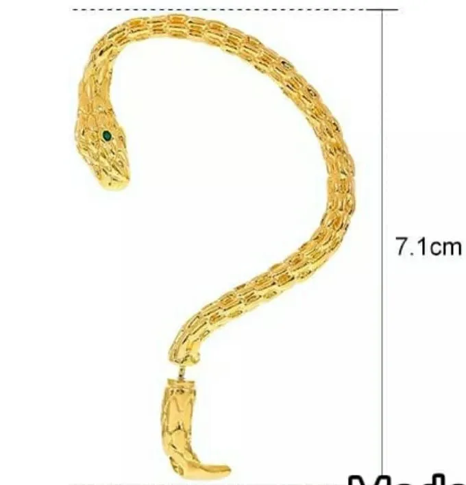 WhatsApp Image 2025-12-11 at 3.02.11 PM.webp