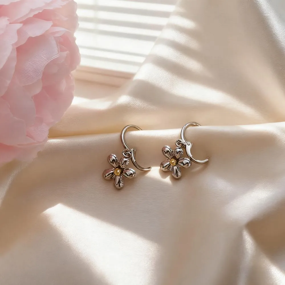 WhatsApp Image 2025-12-08 at 8.13.22 PM (2).webp