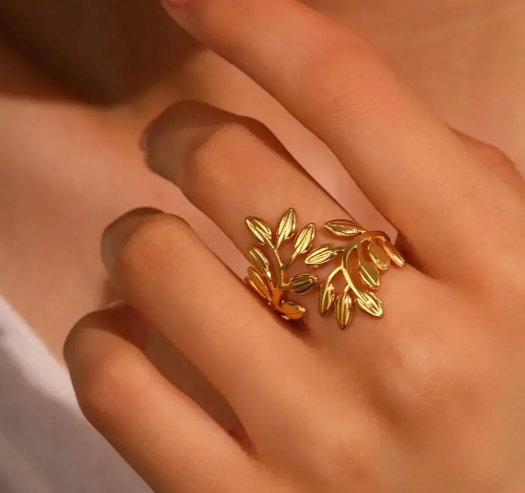 WhatsApp Image 2025-12-12 at 4.33.31 PM (1).webp